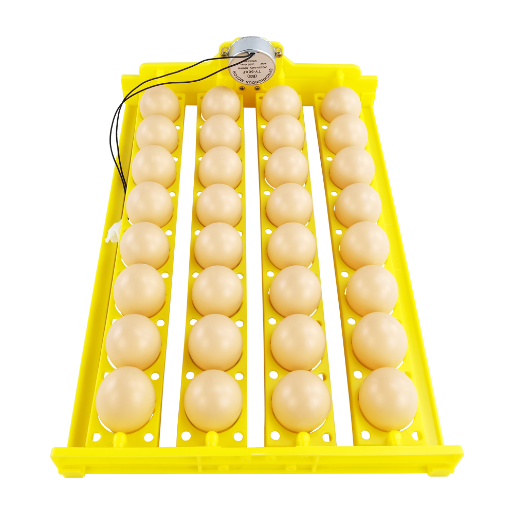 Egg Tray Used For Incubator Incubator Trays Egg Tray Quail Egg Buy